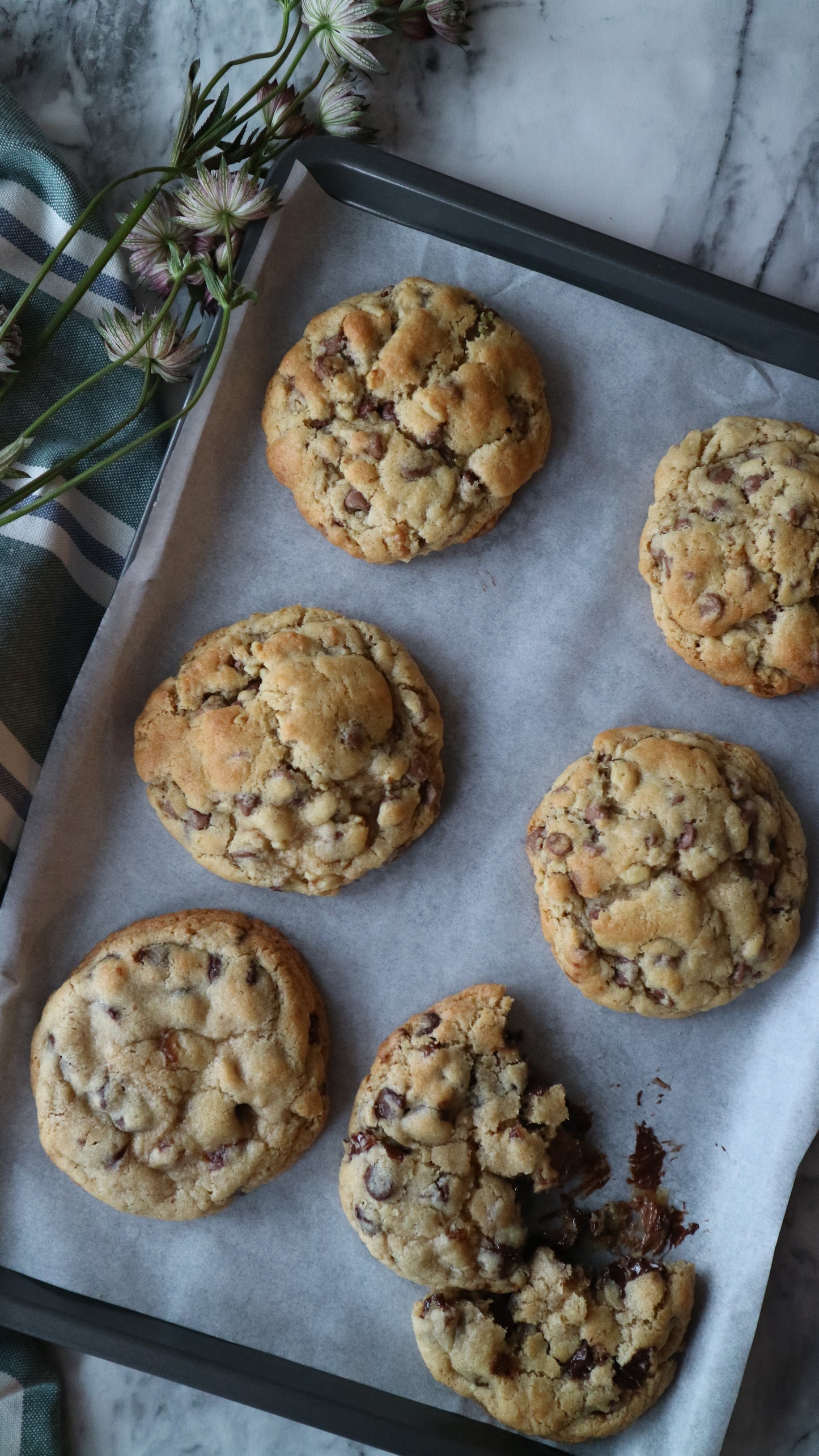 Choc Chip Walnut